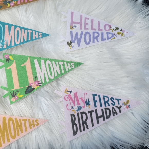 2/$20 Little Artist Milestone Pennants - Picture 13 of 15